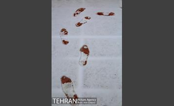 بارش پاییزی برف در ارتفاعات بوستان کوهستانی آبشار تهران‎ 7