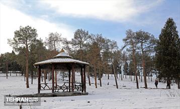 روز برفی در منطقه 13 28