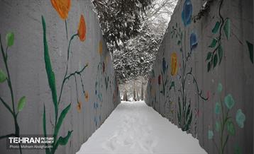 روز برفی تهران - 2 24