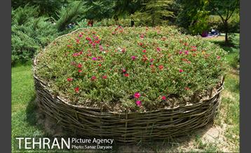 بوستان پردیس بانوان 26