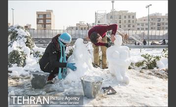 جشنواره مجسمه های برفی 10