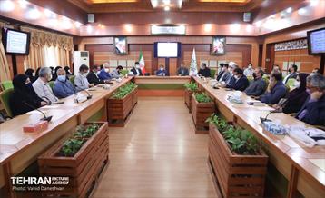 اولین جلسه شورای هماهنگی طرح توانمندسازی و تحول اجتماع محور در منطقه ۱۷