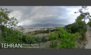 پارک جنگلی لویزان‎ 1