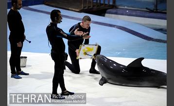 حضور خانواده هاى کارکنان شهردارى تهران در دلفیناریوم برج میلاد به همراه شهردار تهران 22