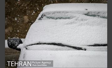 بارش نخستین برف پاییزی در تهران 29