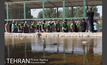 بازدید اعضای شورای اسلامی شهر تهران از خدمات رسانی به زائران اربعین حسینی 1