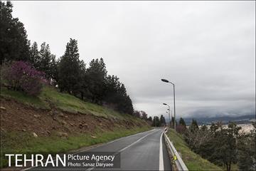 تعطیلی بوستان جنگلی سرخه حصار به منظور پیشگیری از شیوع ویروس کرونا 7