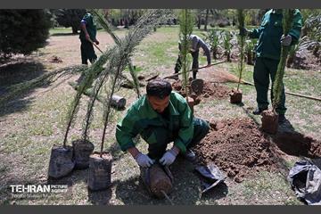 آیین درخت‌کاری به مناسبت روز طبیعت 19