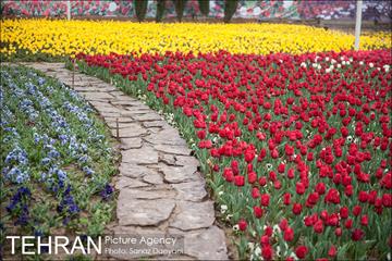 جشنواره لاله‌ها در بوستان زندگی محله هرندی 4