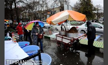 بارش باران در تهران 9