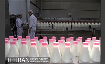 خط تولید شرکت صنایع شیر ایران 2