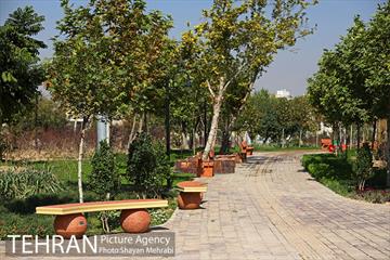 بوستان زندگی 42