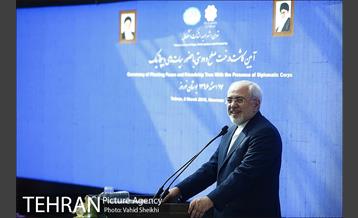 آیین کاشت درخت صلح و دوستی 19