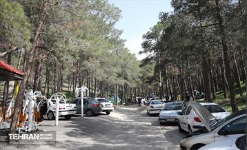 روز طبیعت در پارک جنگلی لویزان 34