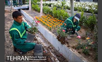 گلکاری در خیابان ولیعصر 24