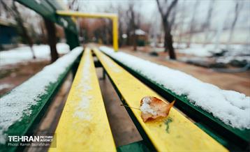 روز برفی در منطقه 8 15