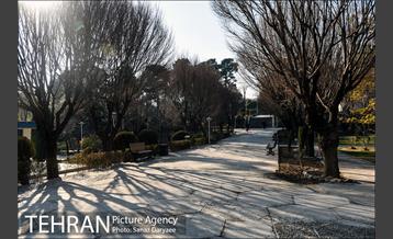 پارک ساعی 18