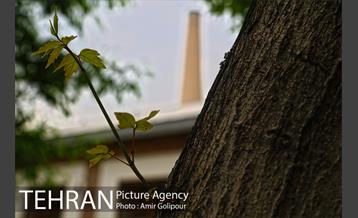 موزه هفت چنار 7