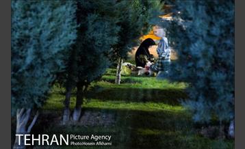 حضور شبانه مردم در بوستان بهمن‎ 6