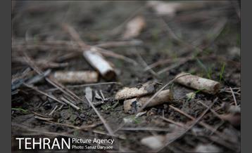 فیلتر سیگار زباله است 21