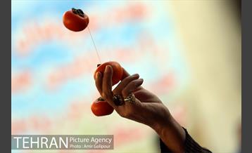 نخستین جشنواره خرمالو در روستای کشار سفلی 28