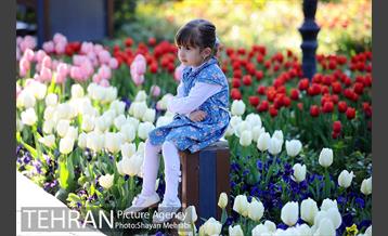 رویش گل های لاله در باغ ایرانی 42