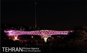 Nature Bridge / Ahmad Aghasiani