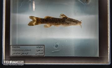 اقیانوس پارک  3