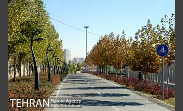 پاییز دریاچه شهدای خلیج فارس 14