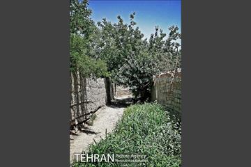 توتستان های طرشت، طعم شیرین طهران قدیم 2