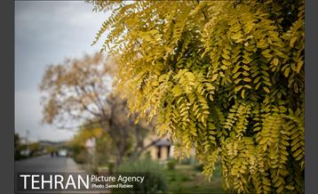 پاییز زیبای پایتخت- 3