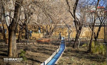 باغ گلاریس 28