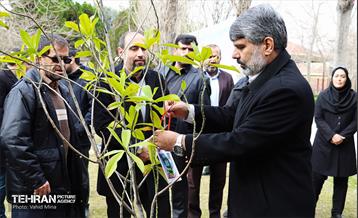 غرس ۱۱۰۰ نهال در منطقه ۱۱ 11