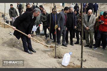 جشن درختکاری در منطقه ۵ 5