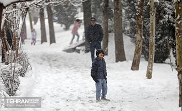 بارش برف در تهران 15