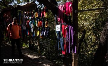 شهرنگار؛ درکه 29