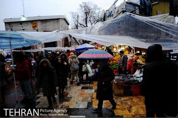 بارش باران در تهران 20