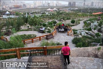 عصر تابستانی در بوستان آبشار تهران 2