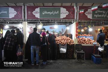 یازدهمین جشنواره صد دانه یاقوت 17