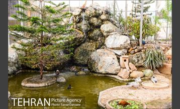 باغ پرندگان 3