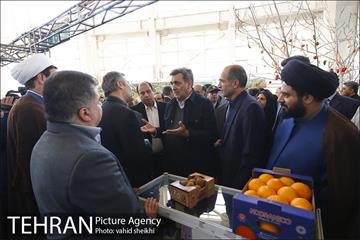 افتتاح یازدهمین نمایشگاه محصولات غذایی ارگانیک  11