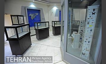 موزه طبیعت و حیات وحش دارآباد تهران 21