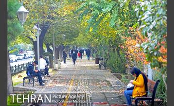 طبیعت پاییزی بلوار کشاورز 1