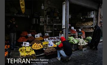 محله امامزاده یحیی  9