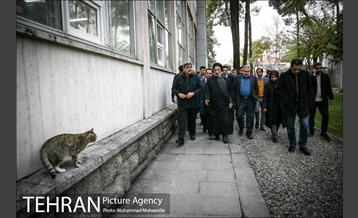 حضور پیروز حناچی در کتابخانه گردی الهام فخاری 2