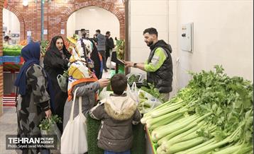 افتتاح ۱۰ بازار میوه و تره بار 5