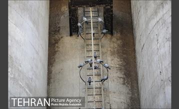 تور عکاسی از منطقه 16