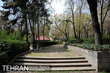 بوستان نیاوران 24