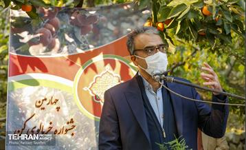 چهارمین جشنواره خرمالوی کن 22