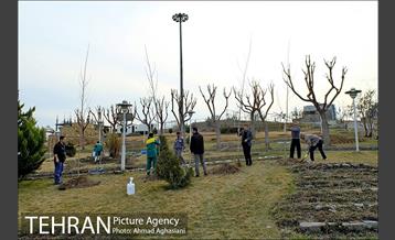 روز درختکاری در گنبد مینا 9